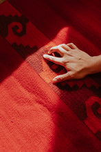 Load image into Gallery viewer, Fuego Rug