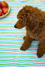 Load image into Gallery viewer, Rayos de Sol Picnic Blanket