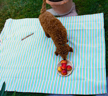 Load image into Gallery viewer, Rayos de Sol Picnic Blanket